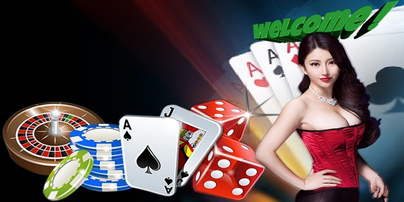 Trò chơi casino cung cấp bởi nhà phát hành hàng đầu