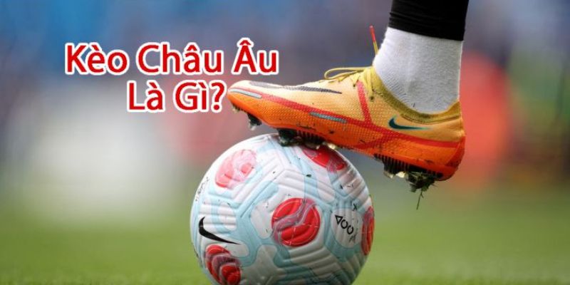 Cơ bản về cách đọc kèo châu Âu dành cho người mới