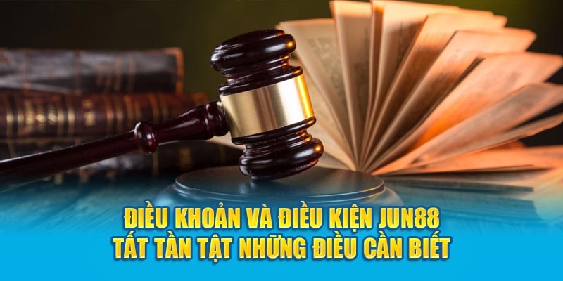 Bộ điều khoản được đơn về đề ra cần lưu ý điều gì