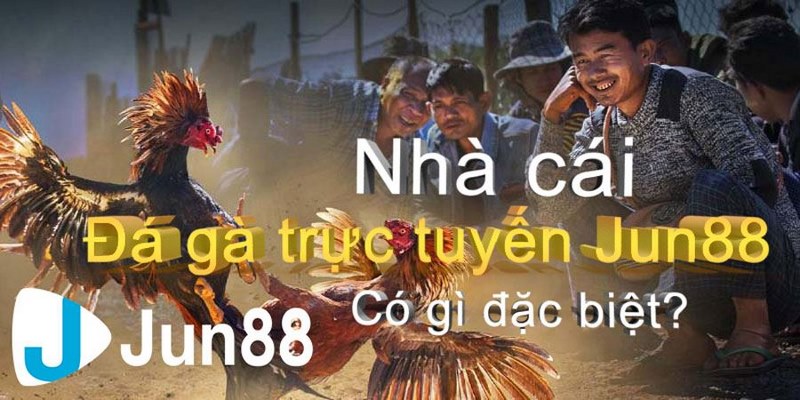 Đá gà Jun88 có giao diện đẹp mắt